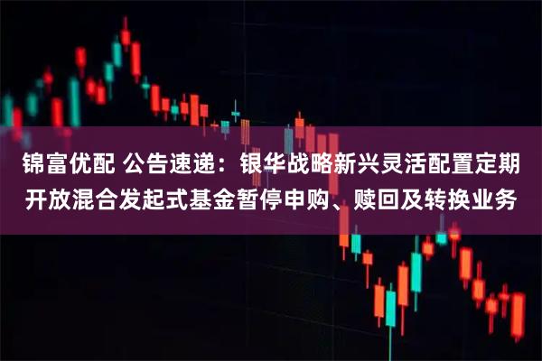 锦富优配 公告速递:银华战略新兴灵活配置定期开放混合发起式基金暂停申购、赎回及转换业务
