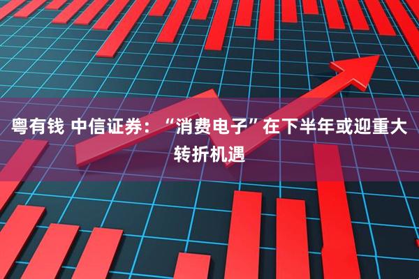 粤有钱 中信证券:“消费电子”在下半年或迎重大转折机遇